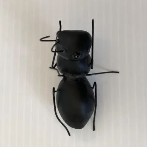 Home Decor - Metal Ant
