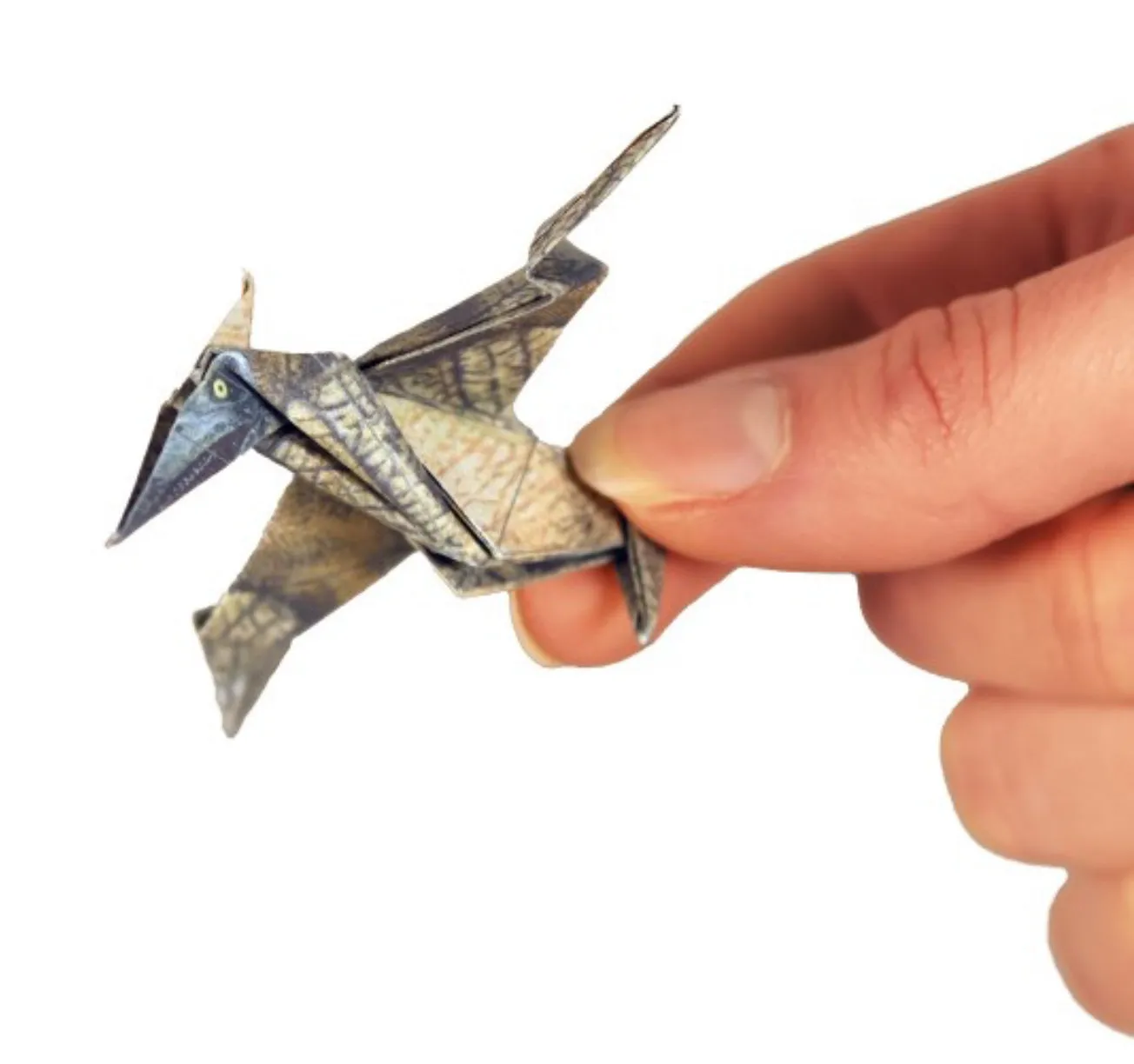 Pikkii Origami Dinosaurs